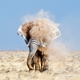 Illustration for article titled Holy crap, these entries from Nat Geos 2012 Photo Contest are absolutely gorgeous